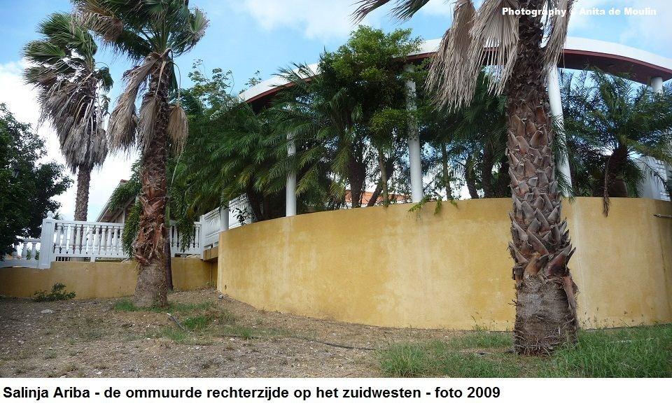 11. Salinja Ariba ommuurde rechterzijde 2009